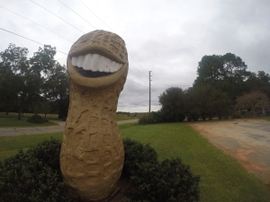 A caricatured peanut sculpture depicting President Jimmy Carter stands tall in his home of Plains, Georgia.